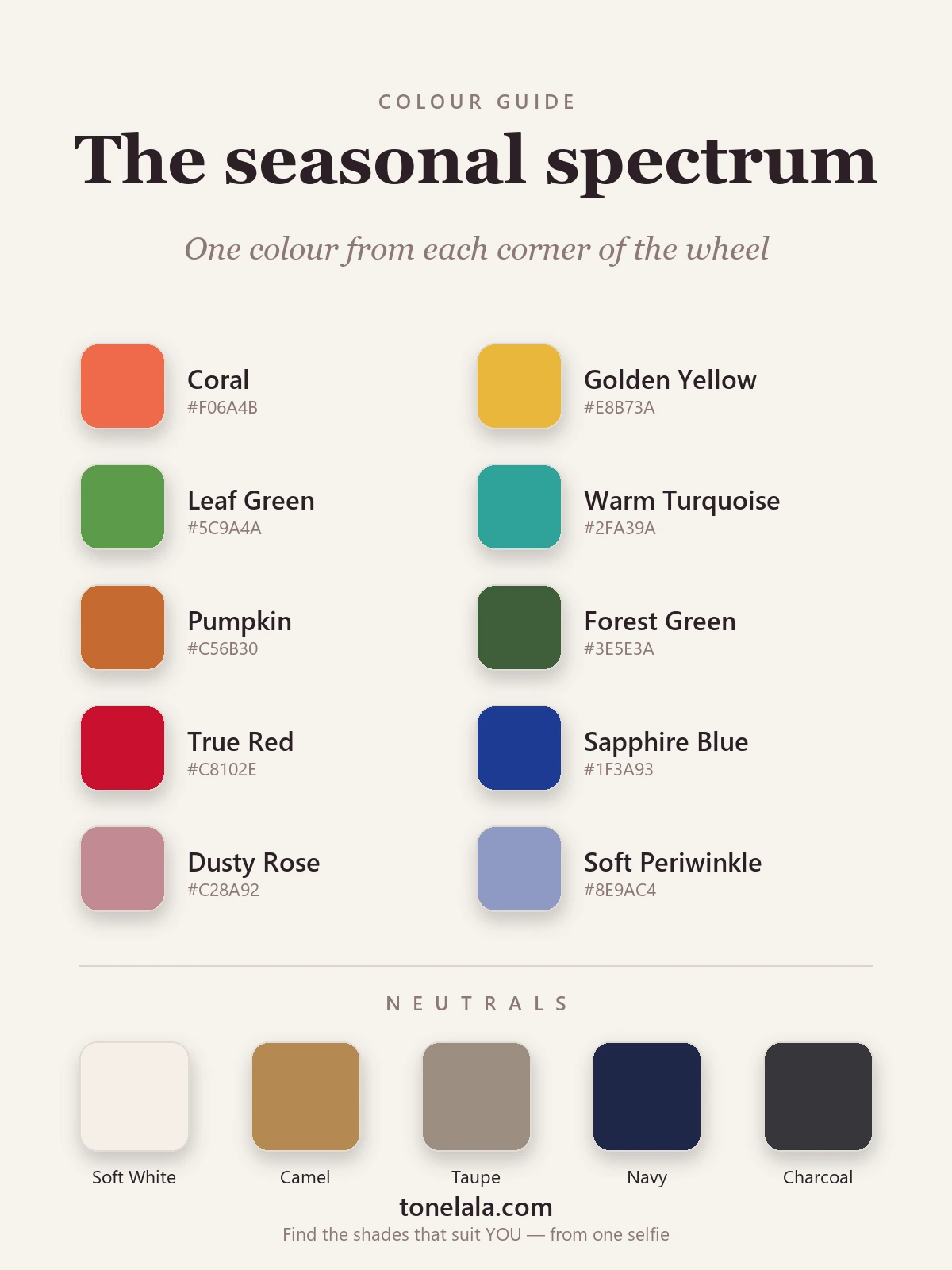 Seasonal colour analysis palette chart with hex codes — a colour from each of the four families plus warm and cool neutrals, by ToneLala