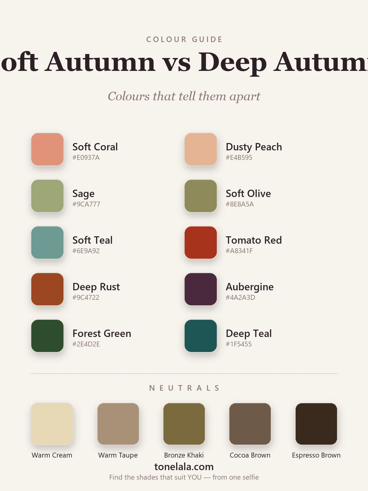 Colour palette chart separating Soft Autumn and Deep Autumn with hex codes — light, greyed earth tones on one side and deep, rich earth tones on the other, by ToneLala