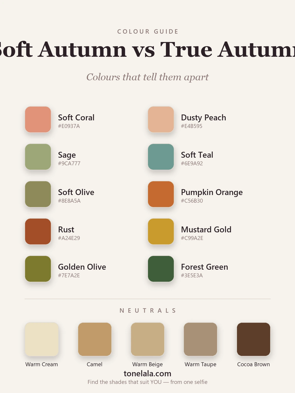Colour palette chart separating Soft Autumn from True Autumn with hex codes — soft coral, dusty peach and sage on one side, pumpkin, rust and golden olive on the other, by ToneLala