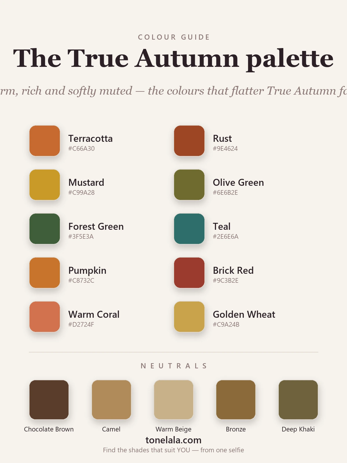 True Autumn colour swatch of terracotta, olive, mustard, teal and warm browns, by ToneLala