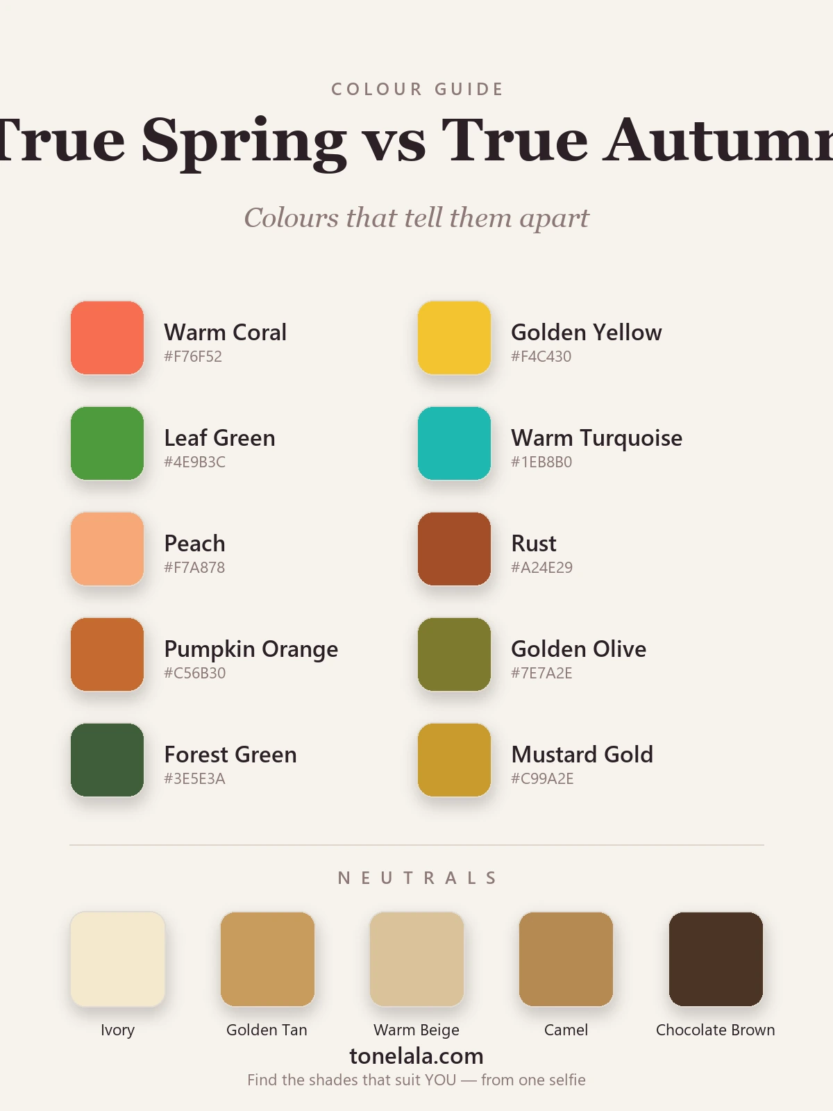 Colour palette chart separating True Spring from True Autumn with hex codes — bright coral, golden yellow and leaf green on one side, rust, golden olive and forest green on the other, by ToneLala