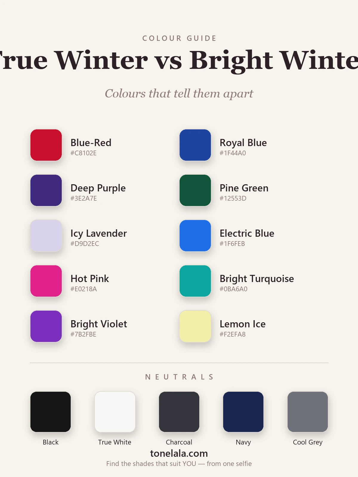 Colour swatches separating True Winter and Bright Winter with hex codes — true red, royal blue and icy pink against electric blue, hot pink and bright turquoise, by ToneLala