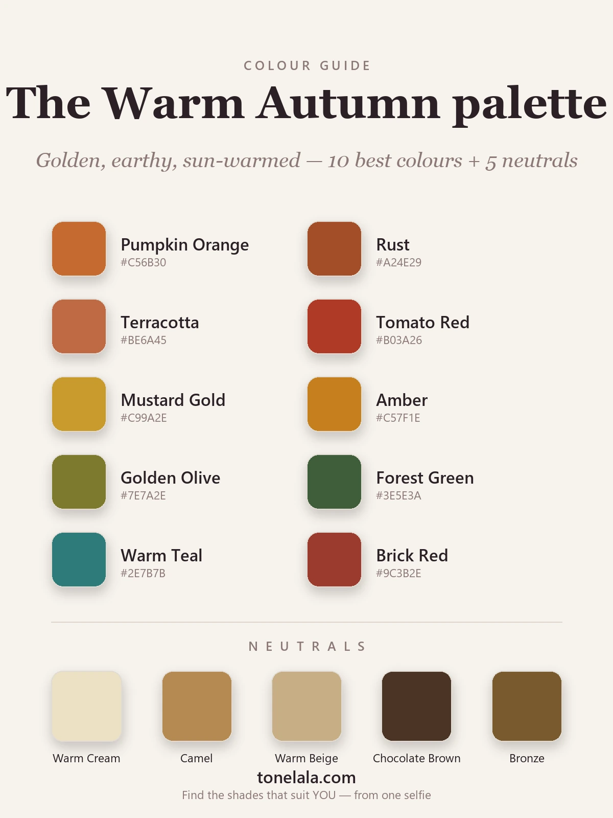 Warm Autumn colour palette chart with hex codes — pumpkin, rust, terracotta, mustard gold, golden olive, forest green and warm teal, with warm cream, camel and chocolate-brown neutrals, by ToneLala